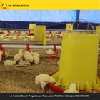 Project Bundling Tools Ternak Ayam Populasi 10000 Ekor 2