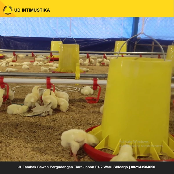 Bundling Close House Broiler Poultry Equipment with Population 10000 birds